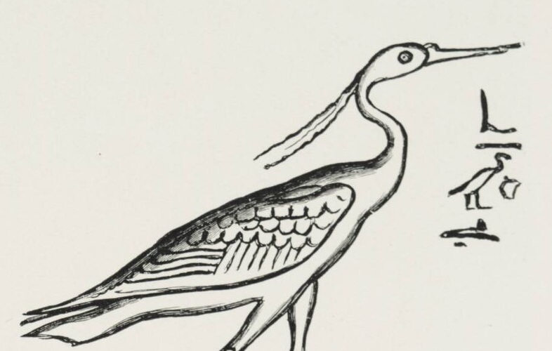 Magia enigmática en Egipto: el viaje del faraón imitando el vuelo de un ave extinta