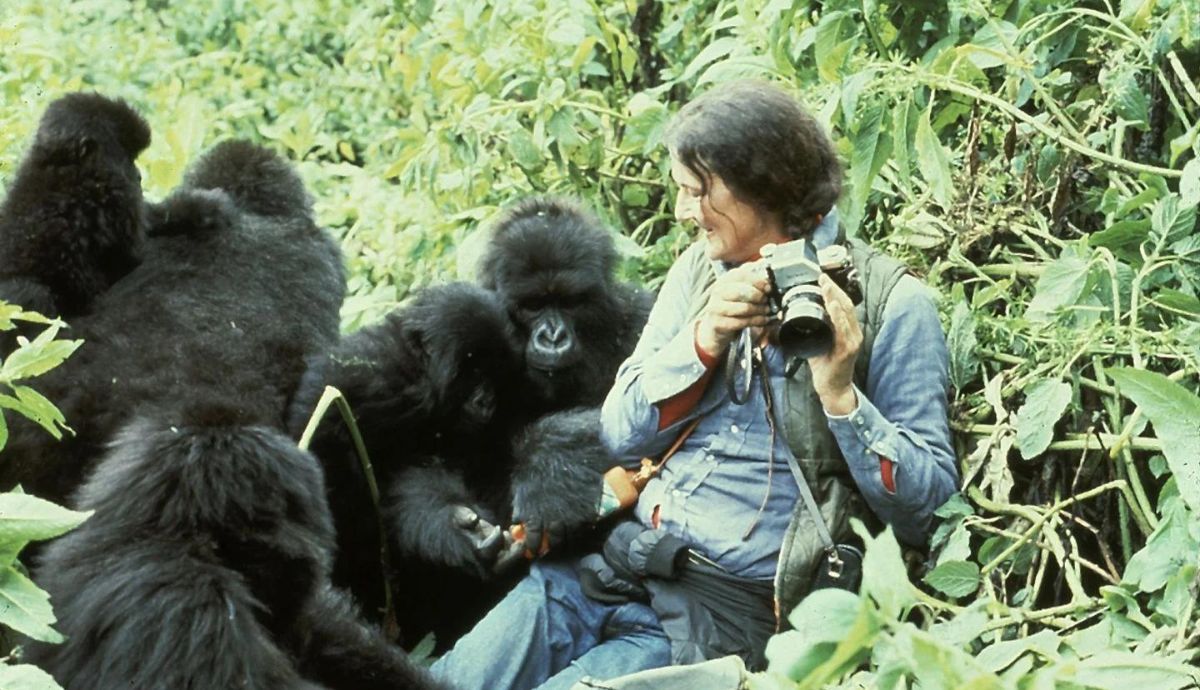 La voz humana que estamos dejando morir: la conciencia nos habla desde el espejo