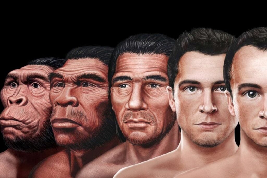 La fábula construida en una etapa humana clave: por la experimentación y creación del pensamiento complejo